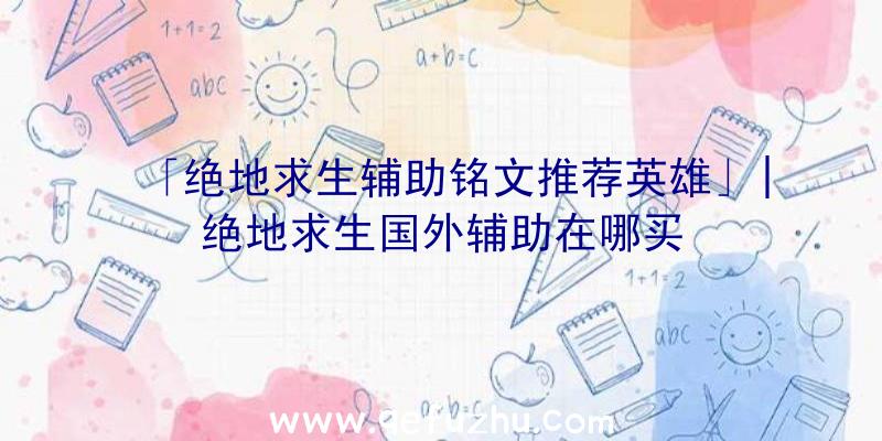 「绝地求生辅助铭文推荐英雄」|绝地求生国外辅助在哪买